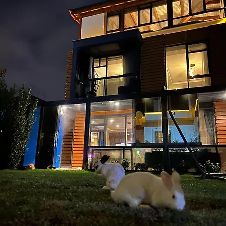 Muhafazakar Havuzlu Bahceli Gueneslenme Alani Bulunan Ultra Lueks Villa Sakarya (Marmara)